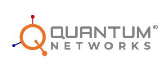 Quantum Networks
