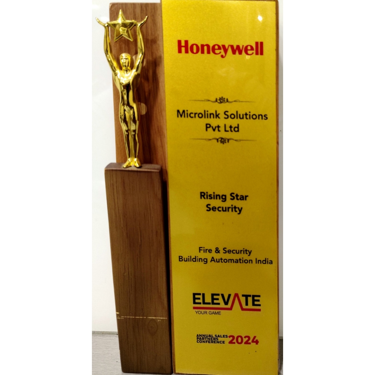 Rising Star - Fire & Security Building Automation India